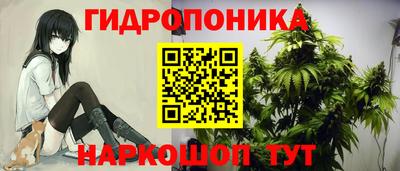 трава Кимры
